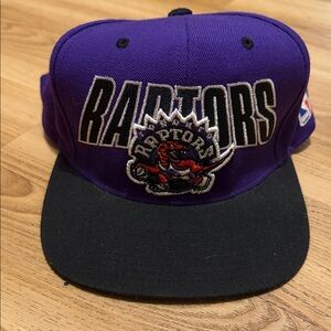 Mitchell & Ness Hardwood Classics Toronto Raptors Hat